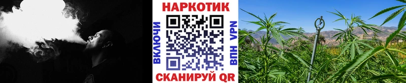 Где купить Александровск Alpha PVP  АМФЕТАМИН  Каннабис 