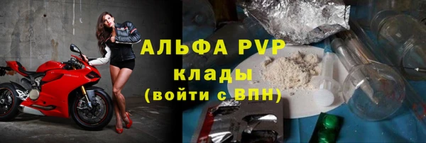 ECSTASY Пересвет