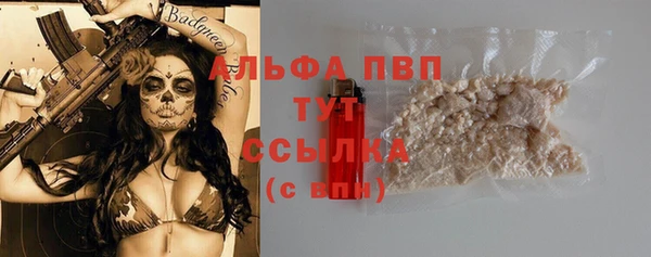 ECSTASY Пересвет