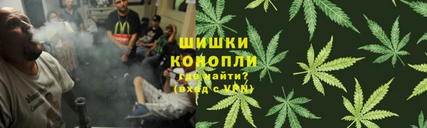 PSILOCYBIN Покров