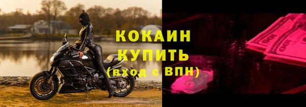 ECSTASY Пересвет