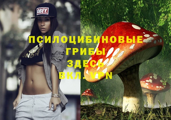 ECSTASY Пересвет