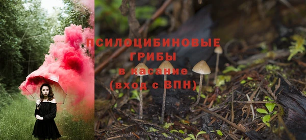 гашик Покровск
