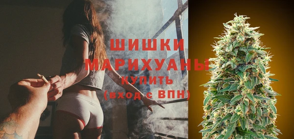 прущие крисы Туринск