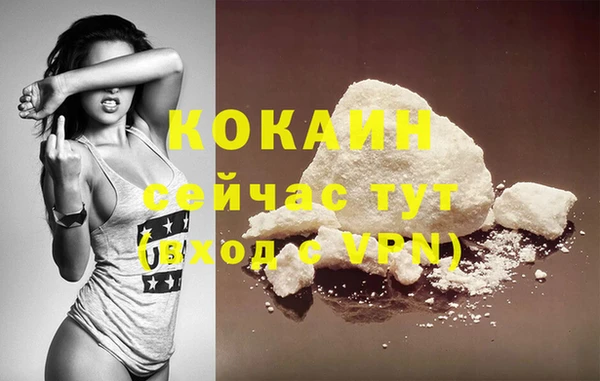 гашик Покровск