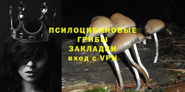 ECSTASY Тында