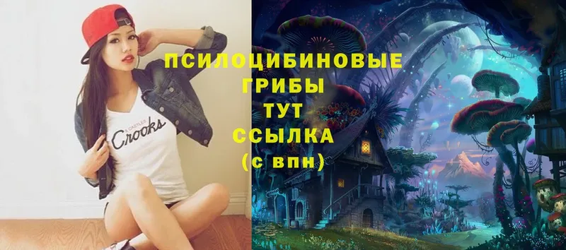 Галлюциногенные грибы Magic Shrooms  Александровск 