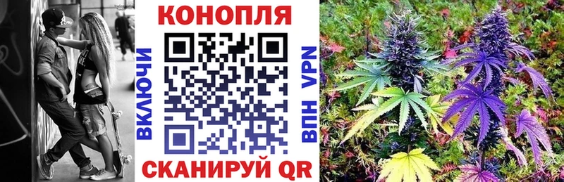 закладка  Александровск  Конопля VHQ 